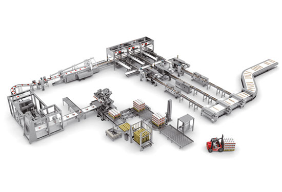 自動(dòng)稱重包裝流水線